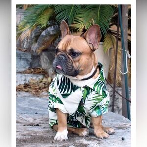 Dog threads shirt for dogs pet clothes